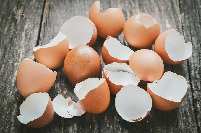 Eierschalen im Haushalt – Wertvoller Dünger und praktischer Alltagshelfer