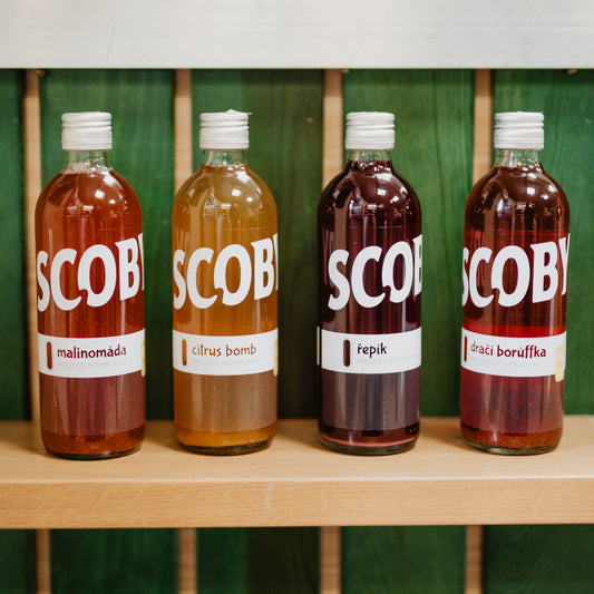 Kombucha - Řepík (500 ml)