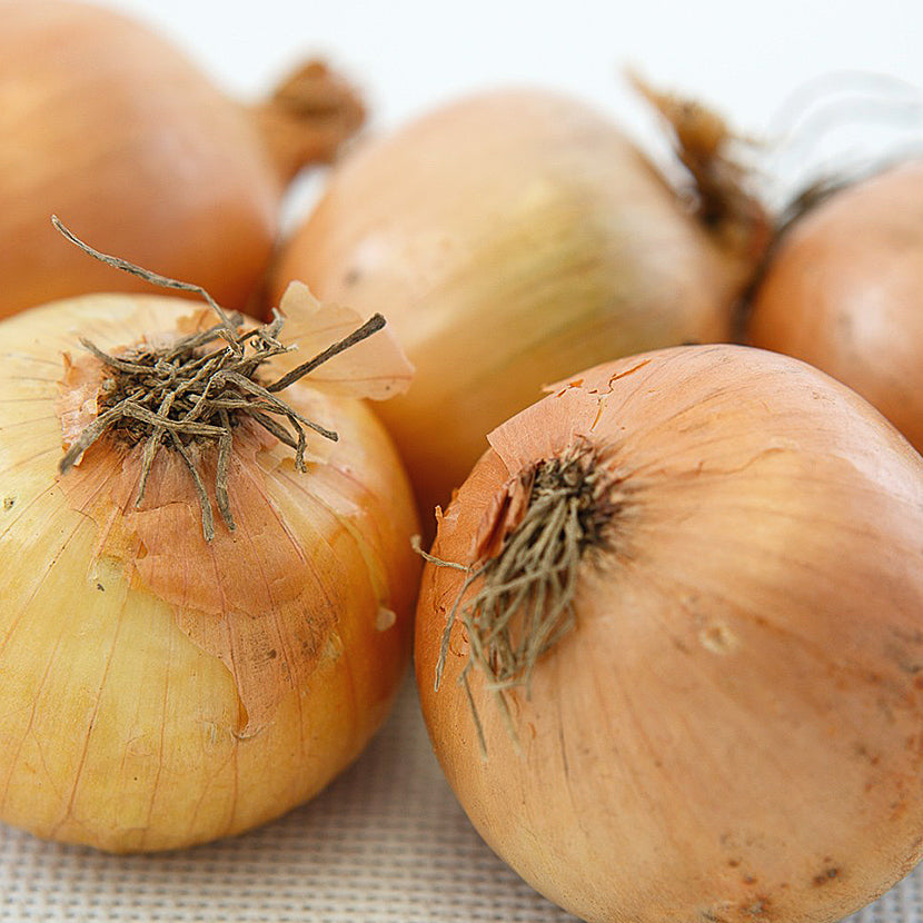 Cibule žlutá (kg)